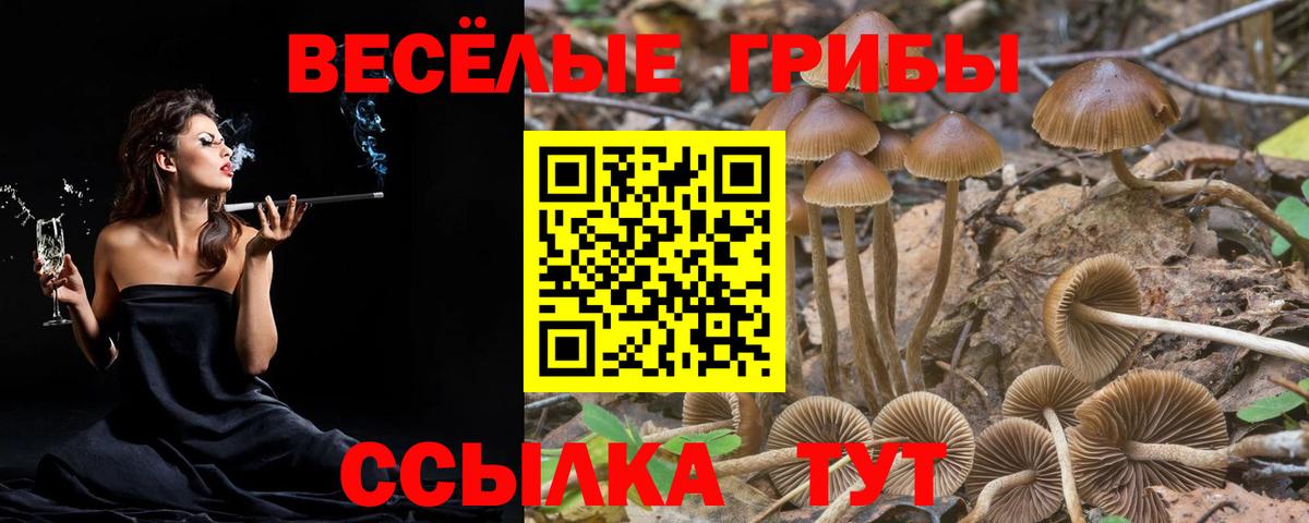 Красный Сулин  Галлюциногенные грибы мицелий  Галлюциногенные грибы мухоморы  Вход с VPN 
